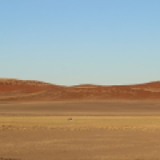 In den Namib-Naukluft-Nationalpark fährt nicht, wer unbedingt Tiere sehen will. Hier ist es so trocken, dass nur bestens angepasste Arten überleben - wie die Oryx-Antilope, deren Körpertemperatur auf bis zu 45°C ansteigen kann